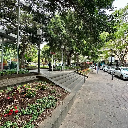 Sabino Street Santa Cruz de Tenerife